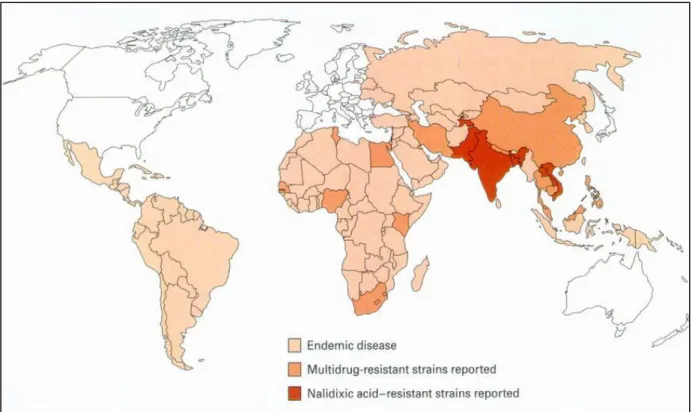 Figura 5 –  Áreas endêmicas de febre tifóide no mundo e identificação das áreas de ocorrência  de resistência antimicrobiana à Salmonella Typhi
