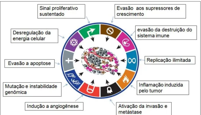 Figura 1. Capacidades adquiridas das células tumorais durante os múltiplos passos da  carcinogênese