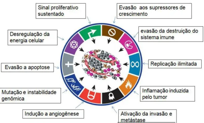 Figura  1  –   Capacidades  adquiridas  das  células  tumorais  durante  os  múltiplos  passos  da  carcinogênese