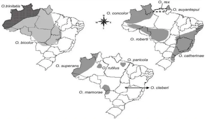 Figura 4. Distribuição das espécies de Oecomys no Brasil (Bonvincino et al., 2008) 