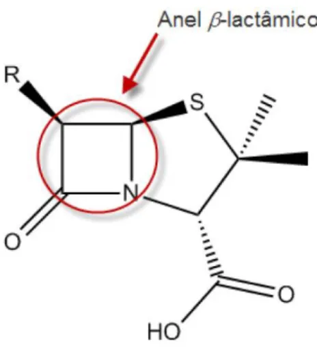 Figura 5: Estrutura química geral dos antibióticos β-lactâmicos. Fonte: AFONSO, 2008. 