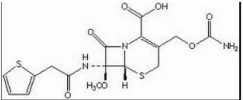 Figura 11: Estrutura química da cefoxitina. 