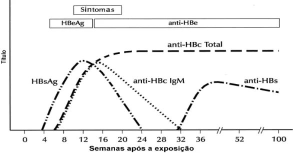 Figura 7 - Curso sorológico da hepatite B aguda (Fonte: adaptado de Mahoney, 1999).
