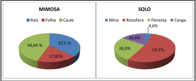 Figura 22: Gráficos quantitativos de fungos da  M.  acutistipula  var.  ferrea e de solo  da Serra de Carajás