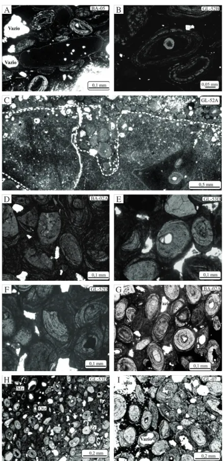 Figura 3 – Fotomicrografias de ironstones oolíticos da Formação Pimenteiras. (A) macro-oólito não estruturado  de oxi-hidróxido de ferro (parte central) com forma de baguete e finos grãos de quartzo em seu interior, envoltos  por oólitos menores estruturad