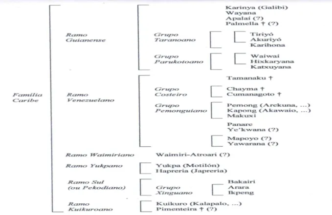 Figura 01: Classificação provisória das línguas da família Caribe (Cf. Meira, 2006 p.169) 