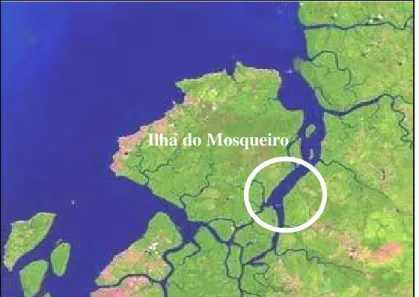 Figura 4 : Mapa da área de coleta dos camarões. Furo das Marinhas, Mosqueiro, PA. 