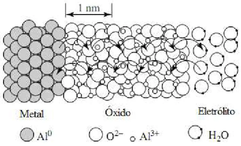 Figura 4- Crescimento óxido na superfície do alumínio 
