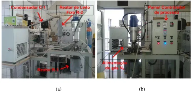 Figura 3 7 Unidade de craqueamento catalítico utilizando reator de leito fixo (a) Vista  lateral (b) Vista frontal