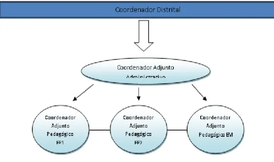 Figura 2: Estrutura administrativa dos coordenadores 