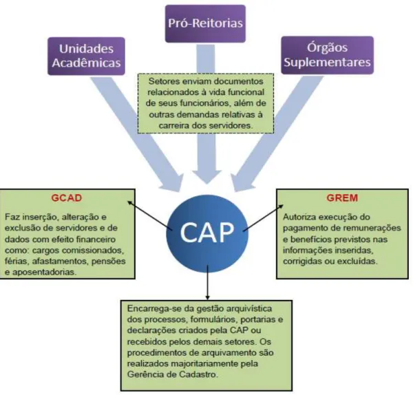 Figura 2: Representação das atribuições conferidas à CAP face à estrutura da UFJF