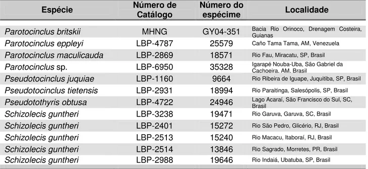 Tabela 2.  Indivíduos das subfamílias Neoplecostominae e Delturinae utilizados no presente  trabalho como grupo externo 