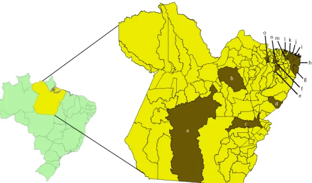 Figura 1. Mapa do Brasil com destaque para o Estado do Pará. Em marrom, as cidades  onde  foram  realizadas  coletas  de  morcegos