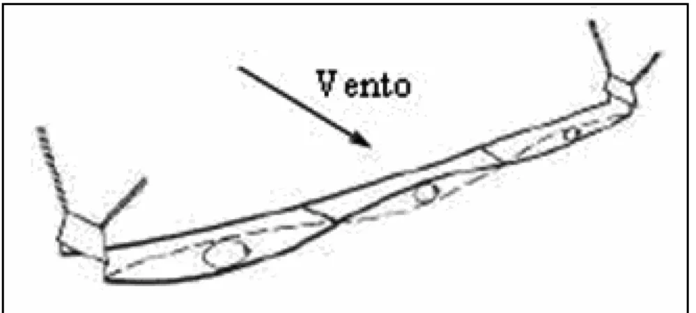 Figura 3.6 - Oscilações devido à esteira num feixe duplo de condutores   (modificado, Lilien e Snegvsk, 2004)