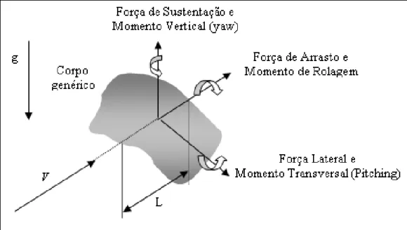 Figura 5.1 - Forças e momentos atuantes em um corpo genérico imerso em um escoamento   (modificado, França, 2003)