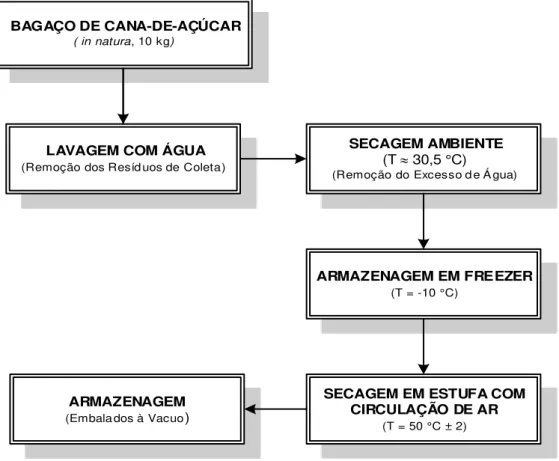 Figura 8  –  Fluxograma simplificado do pré-tratamento do BCA. 