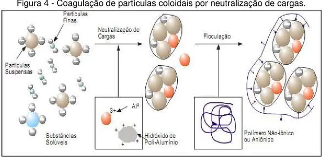 Figura 4 - Coagulação de partículas coloidais por neutralização de cargas. 