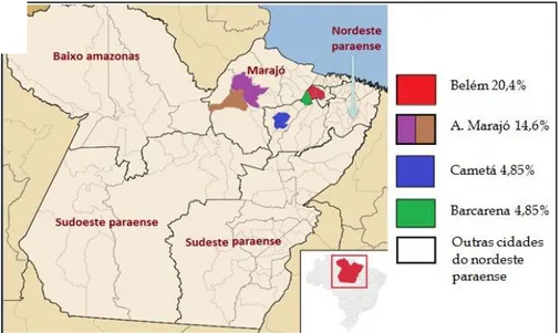 Figura 2- Ocorrências de FLP no estado do Pará, por mesorregiões. 