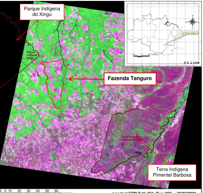 Figura 2  –  Imagem de satélite com localização da fazenda Tanguro no contexto de  paisagem  em  que  está  inserida