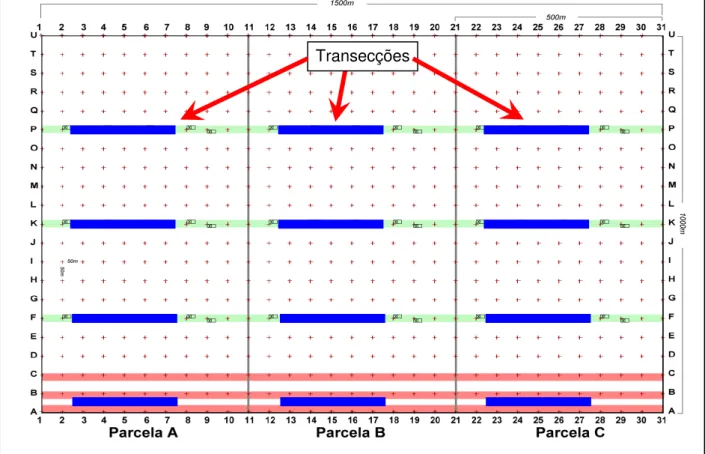 Figura 8  –  Padrão das áreas do projeto “Savanização” mostrando as três parcelas (A, B  e C), as transecções do experimento de pequenos mamíferos (em azul) e as trilhas dos  levantamento e  mapeamento das árvores e fenologia (em verde e vermelho), fazenda
