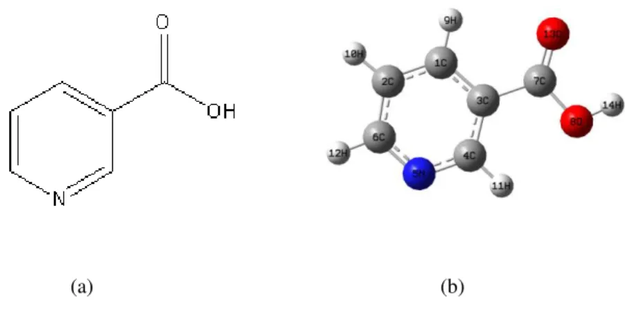 Figura 2.1: (a) fórmula estrutural do ácido nicotínico; (b) índices atômicos.