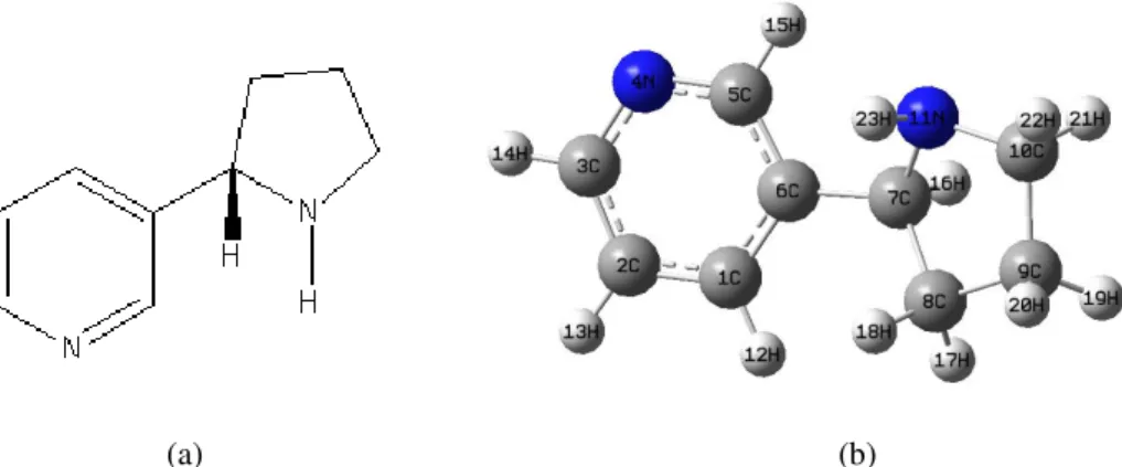 Figura 2.6: (a) fórmula estrutural da trigonelina; (b) índices atômicos. 