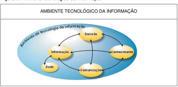 Figura 6: Ambiente tecnológico da informação 