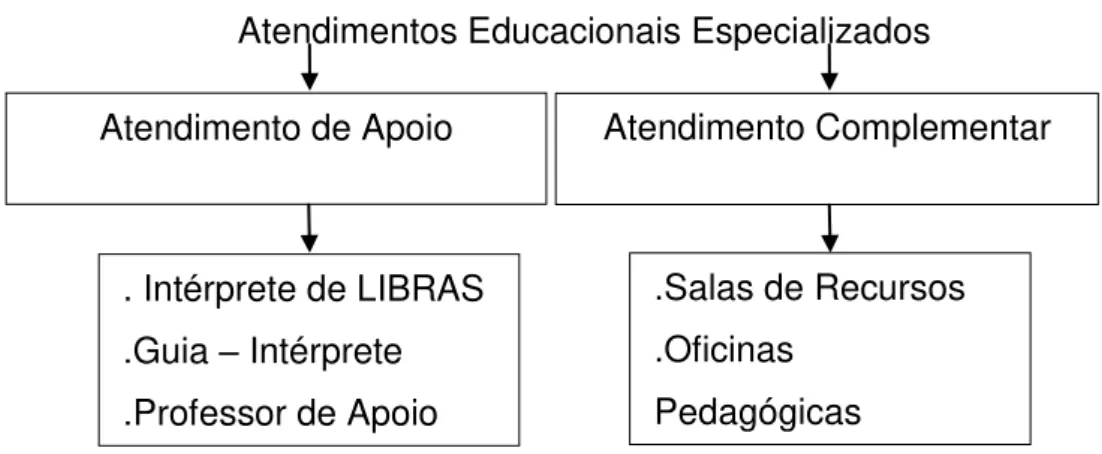 Figura 3: Atendimentos Educacionais Especializados 