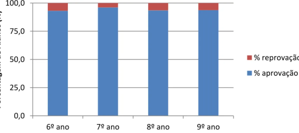Gráfico 12 –Taxa de Rendimento Escolar dos anos finais do ensino fundamental do Colégio de  Aplicação João XXIII- Fluxo 2013 