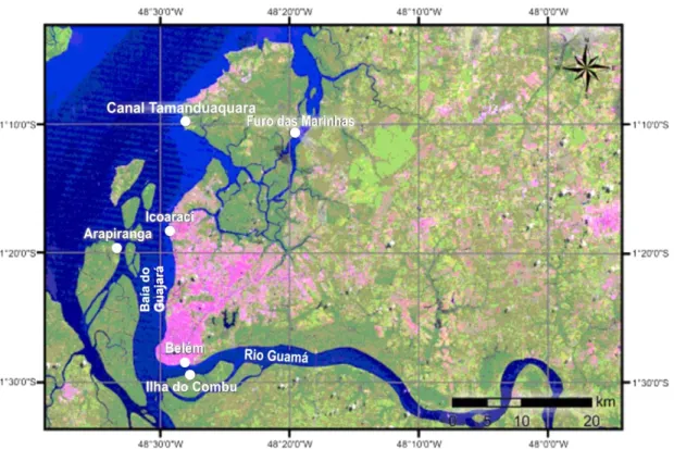 Figura 1: Área de estudo, os círculos  brancos indicam os locais de amostragem (imagem fornecida pelo  Sistema de Proteção da Amazônia)
