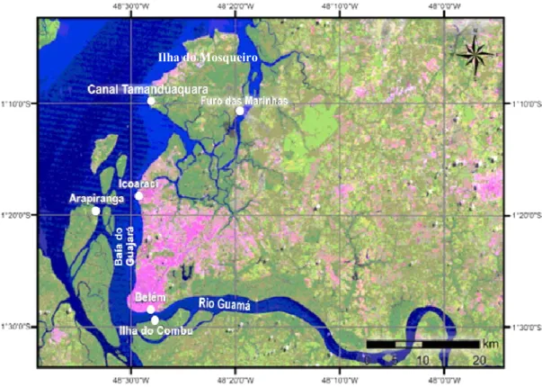 Figura 1: Área de estudo na baía do  Guajará (Belém, PA, Brasil), os círculos brancos indicam os locais  de amostragem