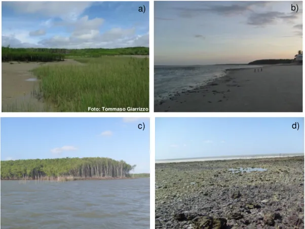 Figura  1.2  –  Diferentes  habitats  na  Ilha  de  Areuá:  a)  Marismas;  b)  Praia  arenosa;  c)     Manguezais; d) Fragmentos rochosos 