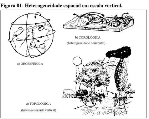 Figura 01- Heterogeneidade espacial em escala vertical. 