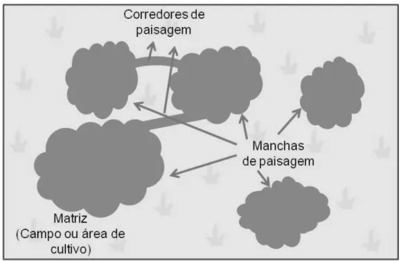 Figura 02- Diagrama mostrando os três elementos principais da paisagem 