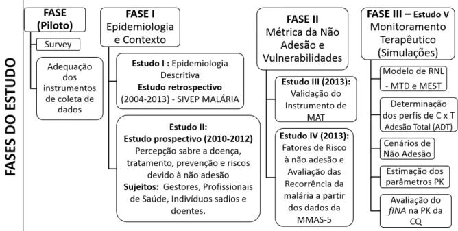 Figura 6. Esquema descritivo das fases de avaliação do estudo de adesão. 