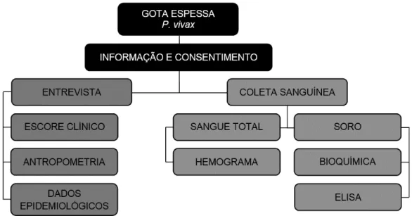 Figura 3: Fluxograma de seleção dos participantes do estudo.  