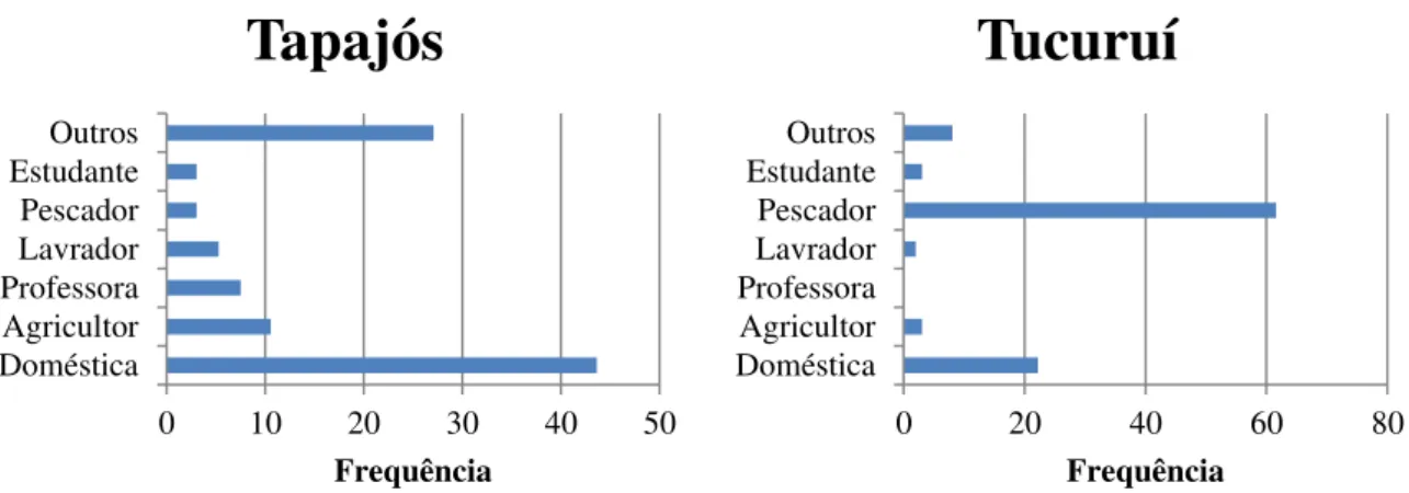 Figura 8. Distribuição dos participantes das regiões do Tapajós e Tucuruí de acordo à ocupação