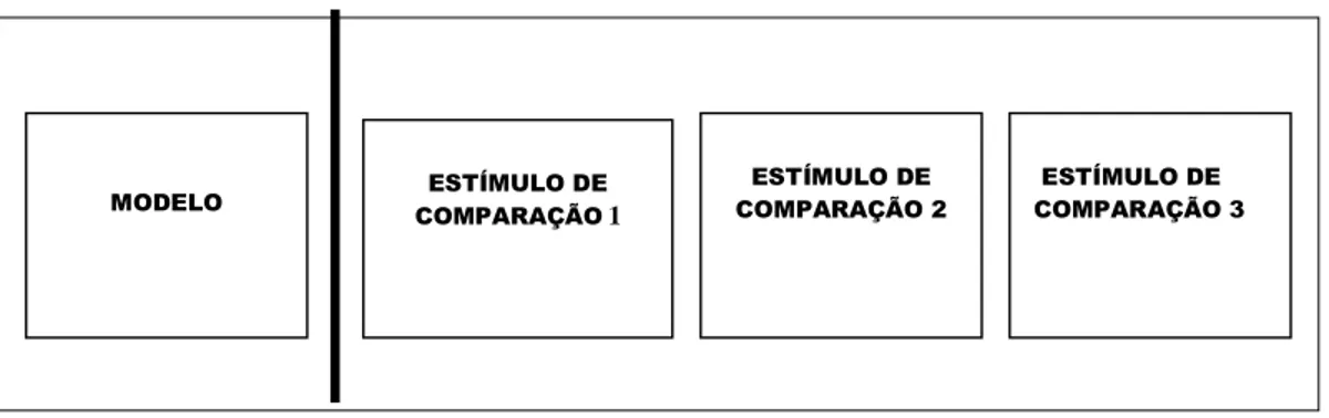 Figura 2. Ilustração de uma cartela com a indicação da localização do estímulo modelo (1ª 