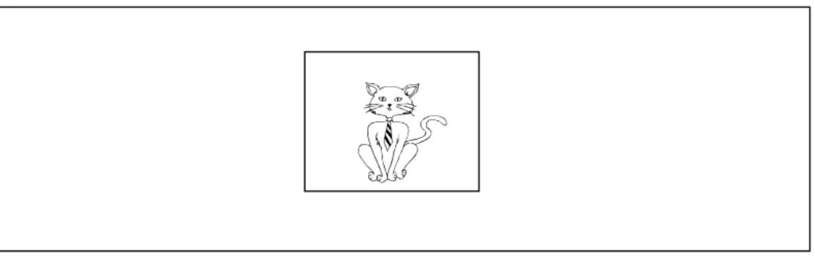 Figura 9. Ilustração de uma cartela de apresentação de figura, no Teste BD. 