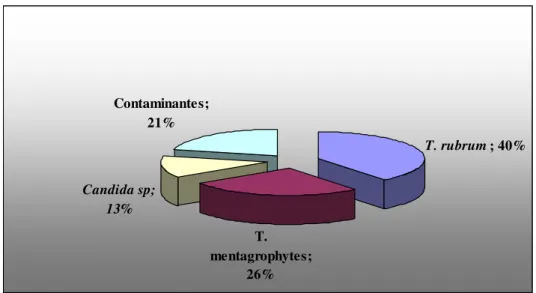 Figura 1 – Gráfico da distribuição das espécies fúngicas identificadas  Fonte: Ficha clínica 