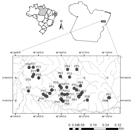 Fig.  1.  Pontos  de  amostragem  de  ninfas  de  Ephemeroptera  no  período  de  setembro  a 188 