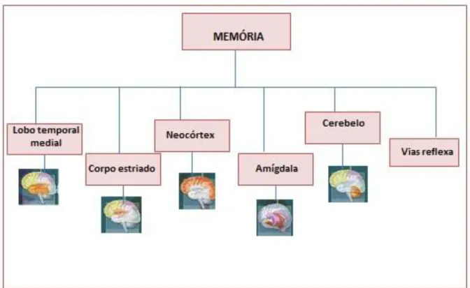 Figura 6- Estruturas envolvidas na memória. 