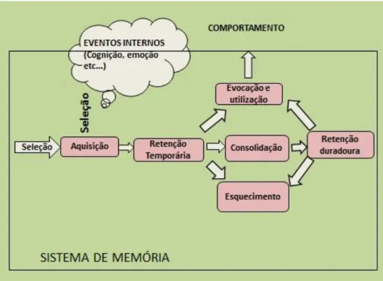 Figura 8 - Representação esquemática da memória demonstra sequencia de etapas iniciados a partir  da entrada de um novo evento proveniente do ambiente externo ou mesmo da mente do indivíduo