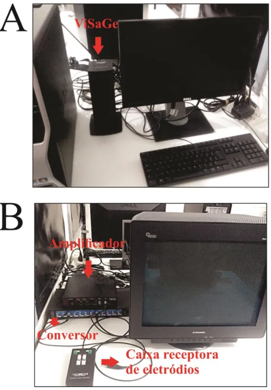 Figura 8. Modelo do sistema ViSaGe utilizado para registrar as respostas corticais (A)