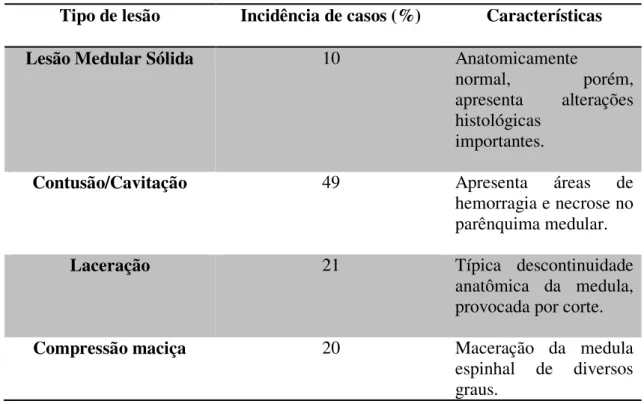 Tabela 1. Classificação das LME em relação às incidências e suas características (BUNGE et al.,  1993; NORENBERG et al., 2004)
