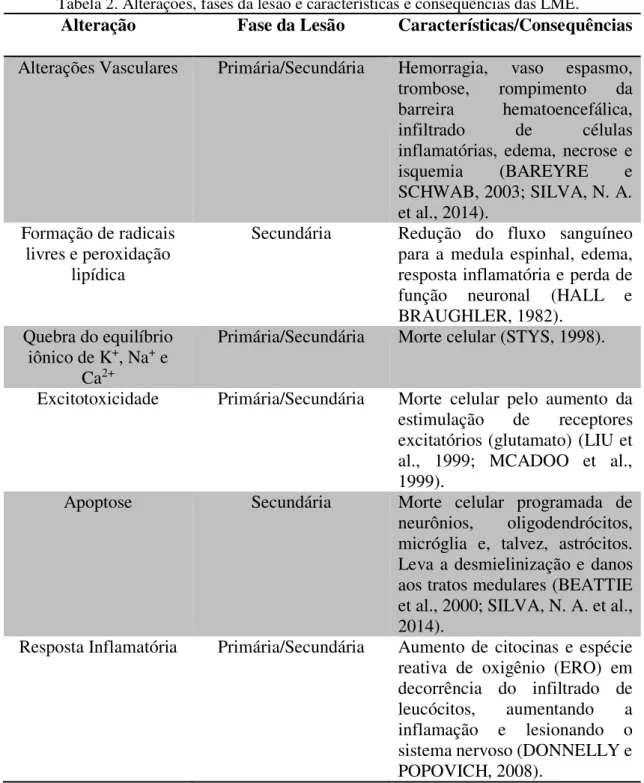 Tabela 2. Alterações, fases da lesão e características e consequências das LME. 