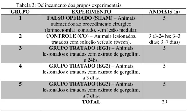 Tabela 3: Delineamento dos grupos experimentais. 