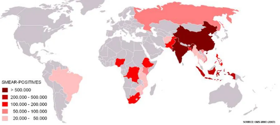 Figura 5  –  Distribuição dos casos de tuberculose no mundo. 