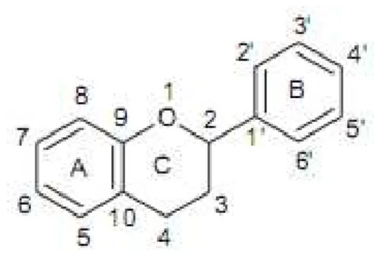 Figura 6: Estrura química dos flavonoides. FRAGA et al, 2010 