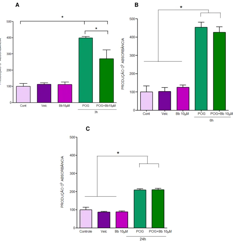 Figura 17: Produção de Oxigênio Reativo: Efeito do tratamento com brosimina b após 3, 6  ou 24 h de hipóxia experimental in vitro (A, B e C, respectivamente)